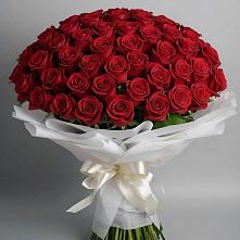 Букет 101 Красная роза Блэк Мэджик в Тяжинском