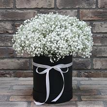 Цветочная композиция из Гипсофила в шляпной коробке в Тяжинском